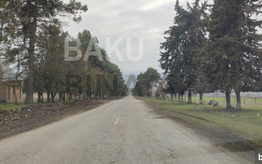 Land for Sale in Ismayilli