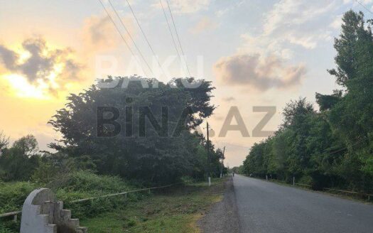 Land for Sale in Lankaran