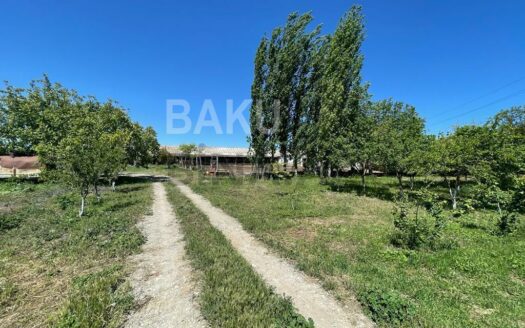 Land for Sale in Shamakhi