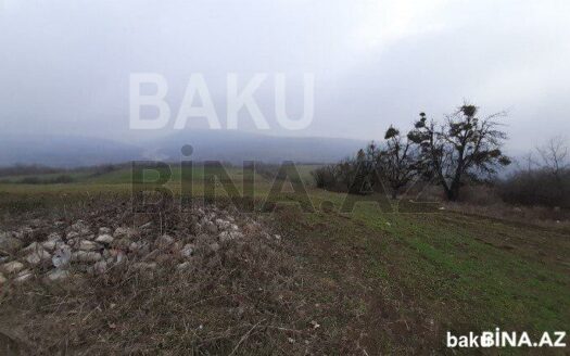 Land for Sale in Aghsu