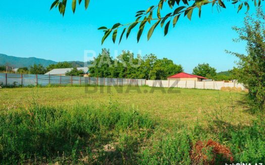 Land for Sale in Gabala