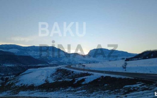 Land for Sale in Gusar