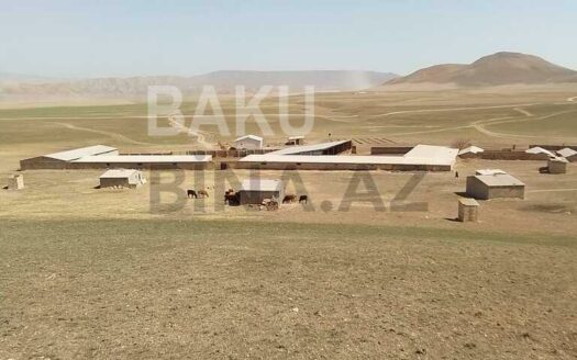 Land for Sale in Shamakhi
