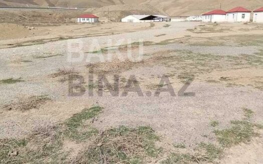 Land for Sale in Shamakhi