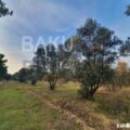 Land for Sale in Baku