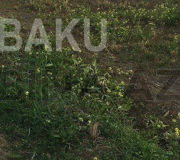 Land for Sale in Guba