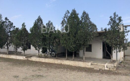 Shop for Sale in Siyazan