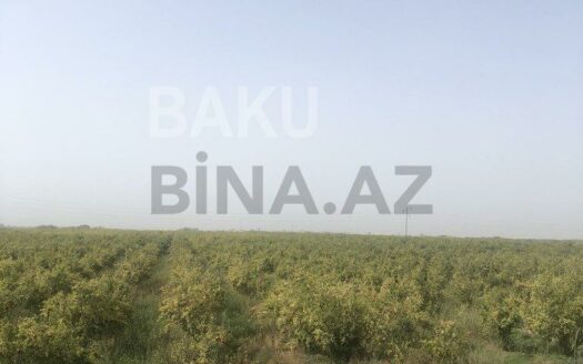 Land for Sale in Salyan