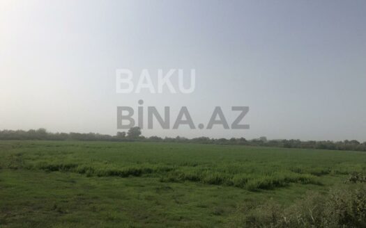 Land for Sale in Salyan