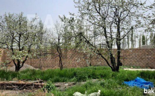 Land for Sale in Guba