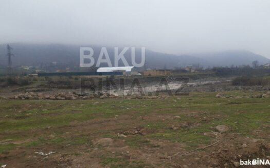 Land for Sale in Lankaran