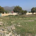 Land for Sale in Gabala