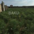 Land for Sale in Baku