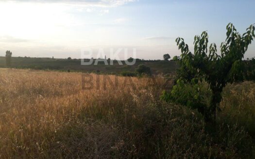Land for Sale in Guba