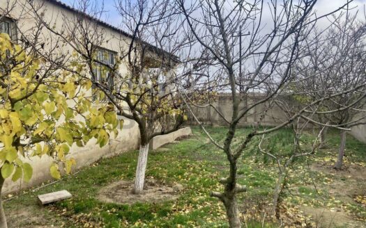 Garden for Sale in Baku