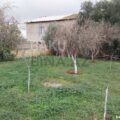 Land for Sale in Baku