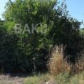 Land for Sale in Shamakhi