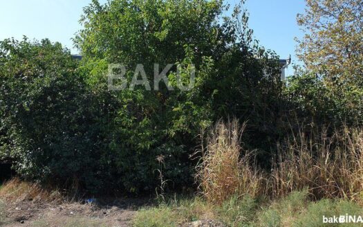 Land for Sale in Shamakhi