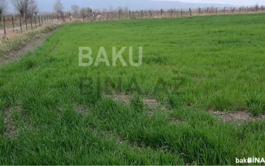 Land for Sale in Gusar