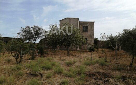Garden for Sale in Baku