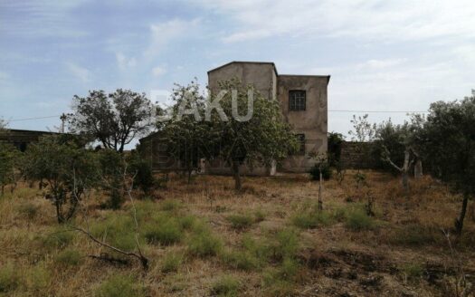 Garden for Sale in Baku