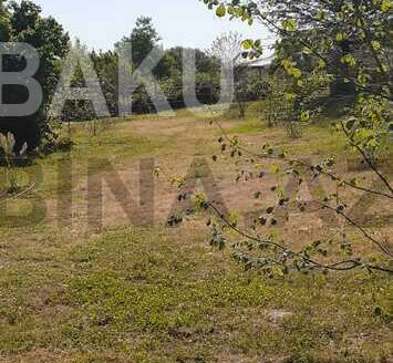 Land for Sale in Gabala