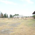 Land for Sale in Ganja