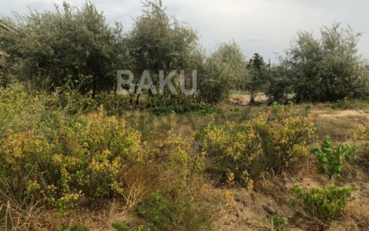 Land for Sale in Baku