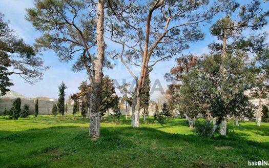 Land for Sale in Baku