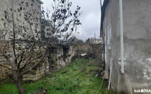 Garden for Sale in Baku