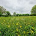 Land for Sale in Gabala