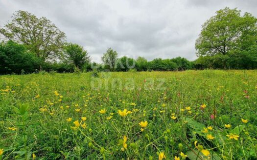 Land for Sale in Gabala