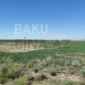 Land for Sale in Sumgait