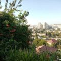 Land for Sale in Baku