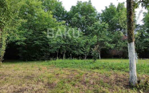 Land for Sale in Gabala