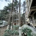 3 Room New Apartment for Sale in Baku