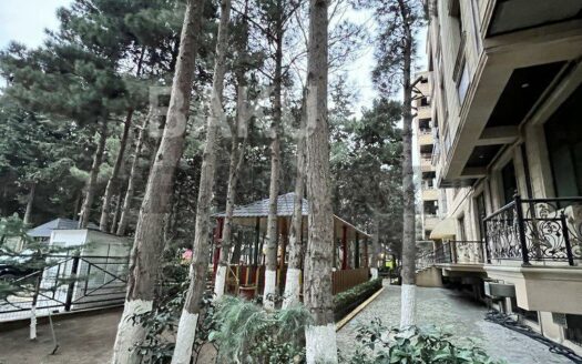 3 Room New Apartment for Sale in Baku