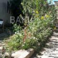 Land for Sale in Baku