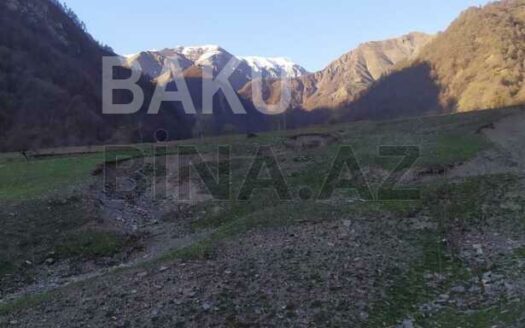Land for Sale in Gusar