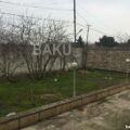 Garden for Sale in Baku