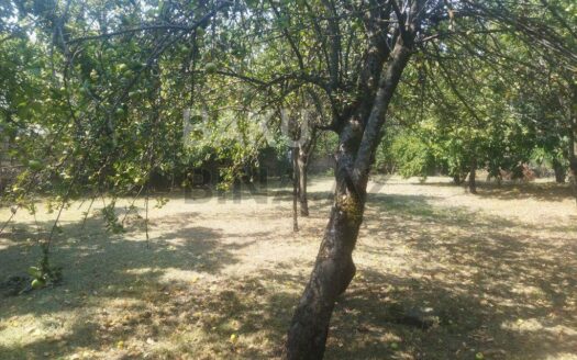 Land for Sale in Gabala