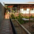 Garden for Sale in Baku