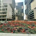 3 Room New Apartment for Sale in Baku