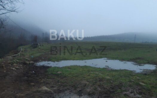 Land for Sale in Lankaran