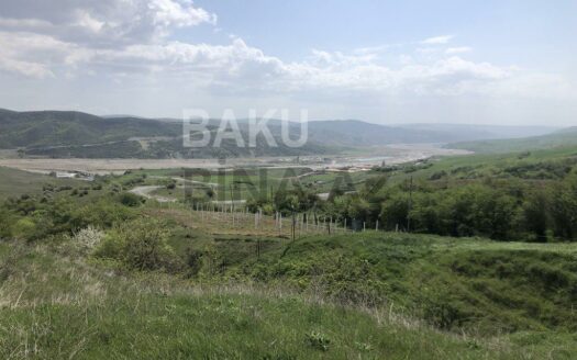 Land for Sale in Shamakhi