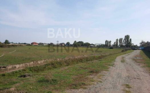 Land for Sale in Lankaran