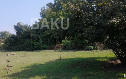 Land for Sale in Gabala