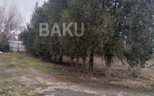 Shop for Sale in Beylagan