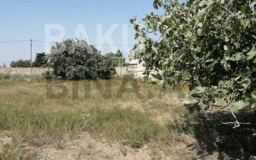 Land for Sale in Baku