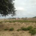 Land for Sale in Baku